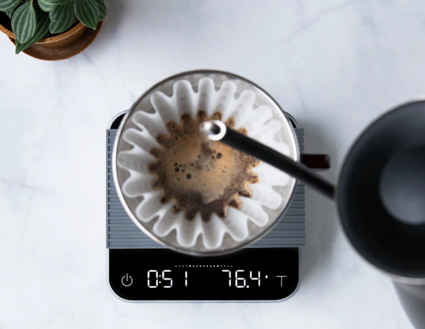 Pearl Pitch Black - 2021 by Acaia