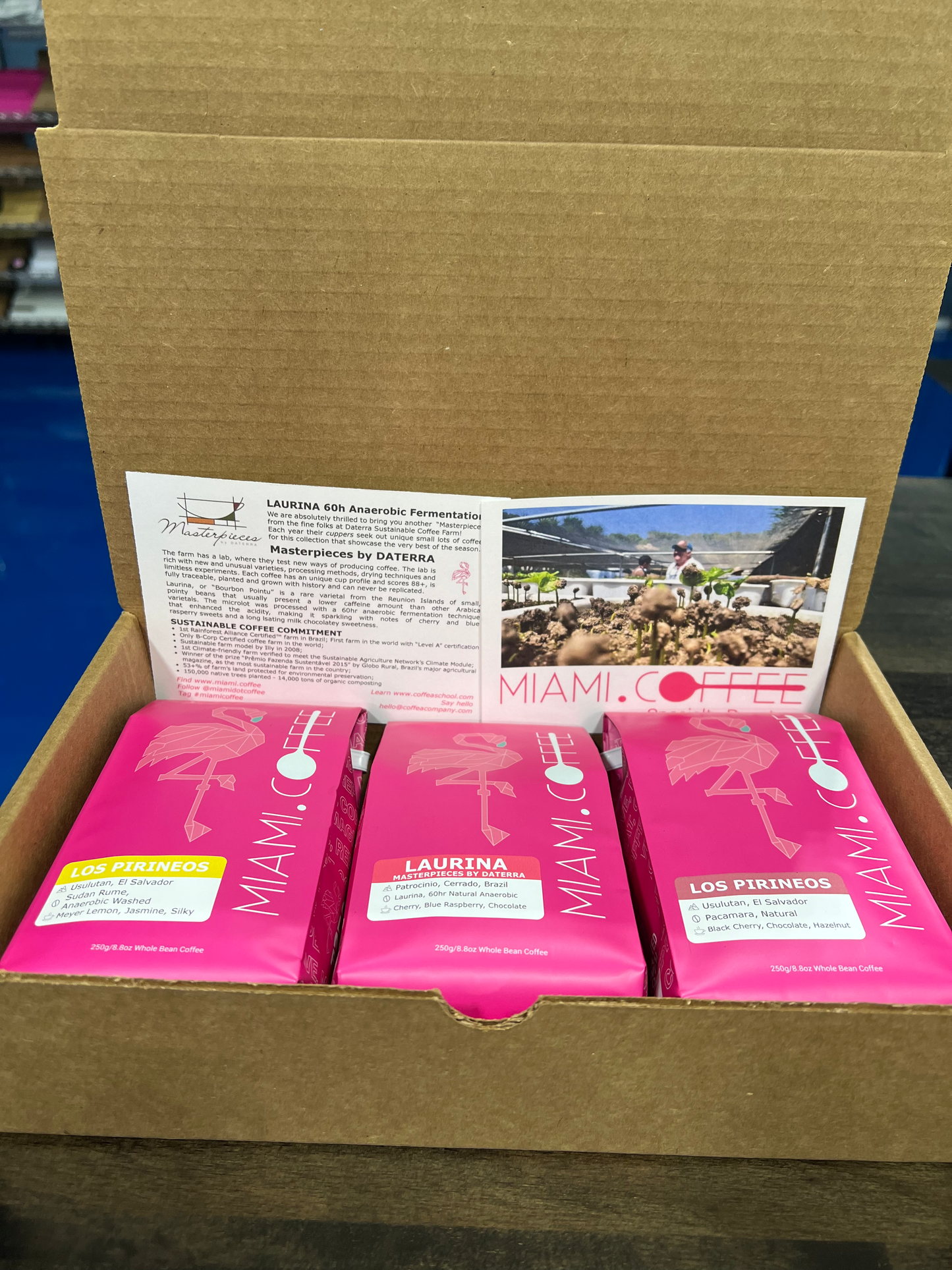 Miami dot Coffee box set with coffee postcards in box