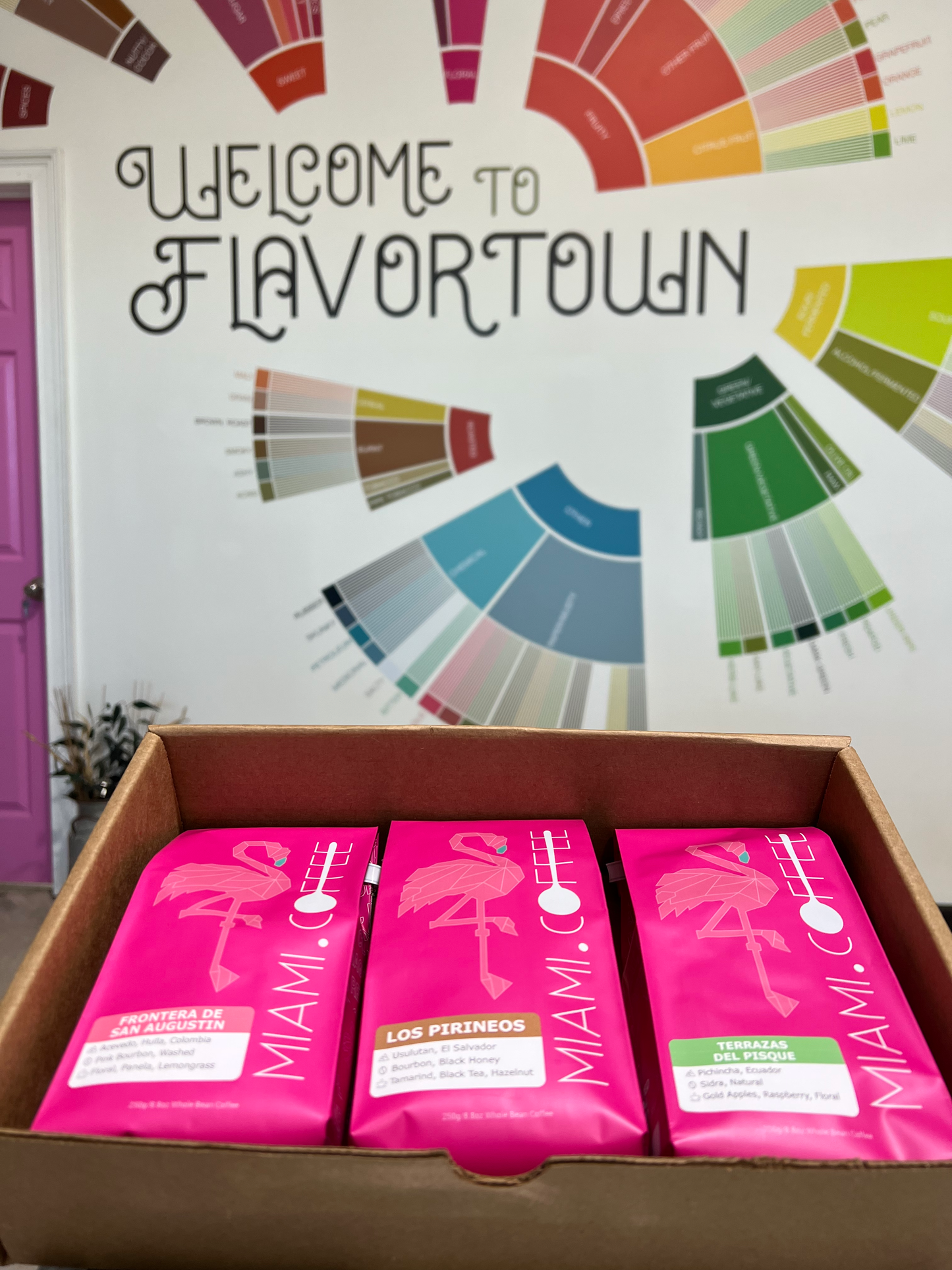 Miami dot Coffee box set with welcome to flavortown de-constructed coffee flavor wheel in the background