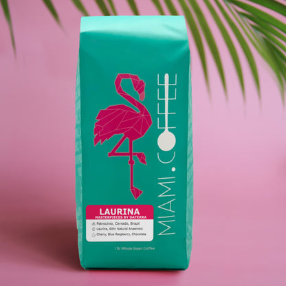 1 pound bag of Miami dot Coffee, Laurina - Masterpieces by Daterra Sustainable and Climate Friendly Coffee Farm in Patrocinio, Cerrado, Brazil. Laurina cultivar processed by a 60 hour Natural Anaerobic Fermentation. Tasting notes of cherry, Blue raspberry, and chocolate