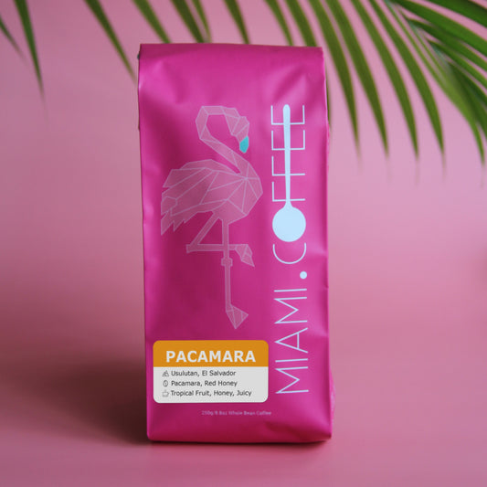 250 gram bag of Miami.Coffee El Salvador Finca Los Pirineos, Producer Diego Baraona, Pacamara, Red Honey Process, tasting notes: Tropical Fruit, Honey, Juicy