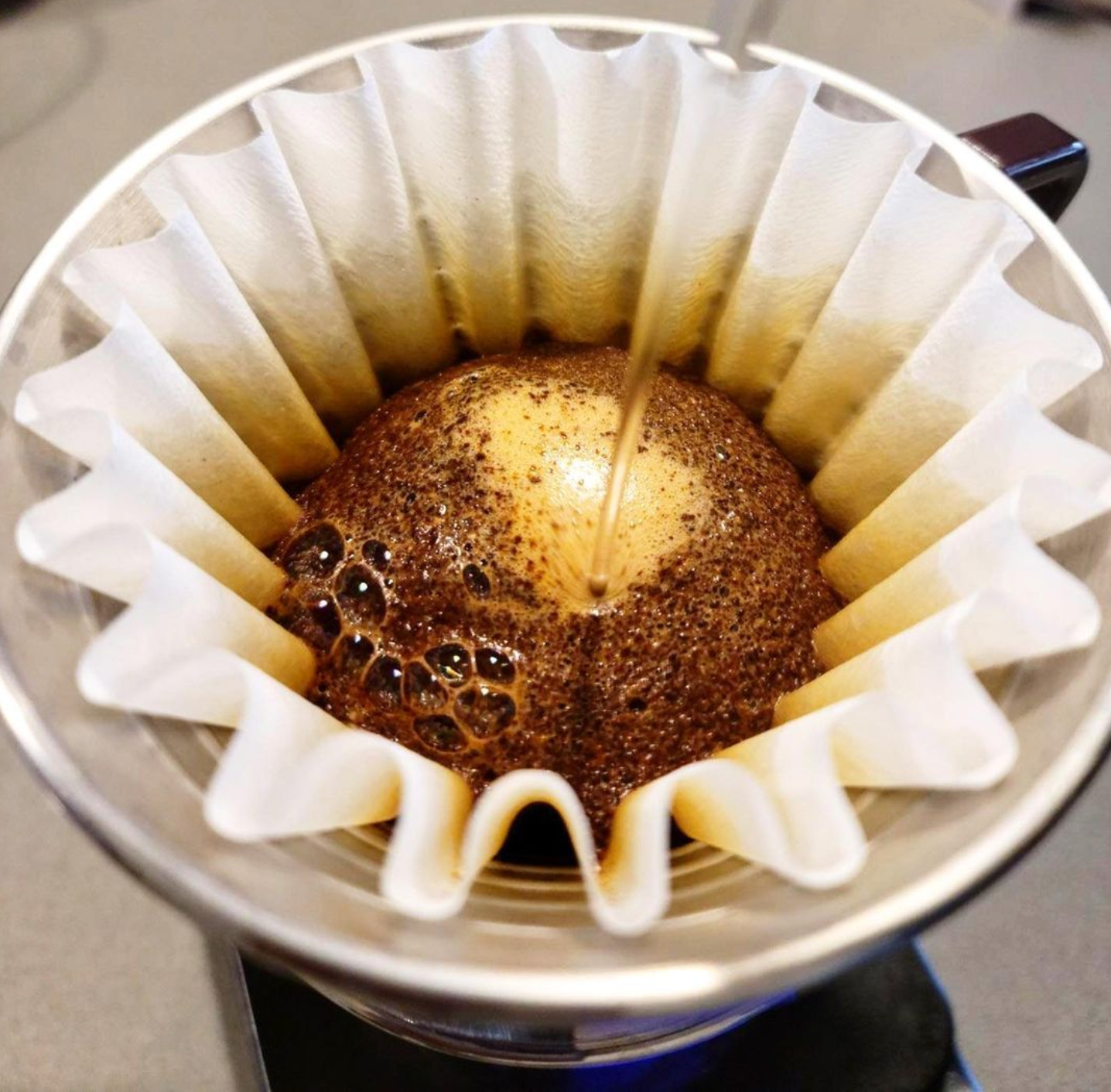 Miami coffee discount importers